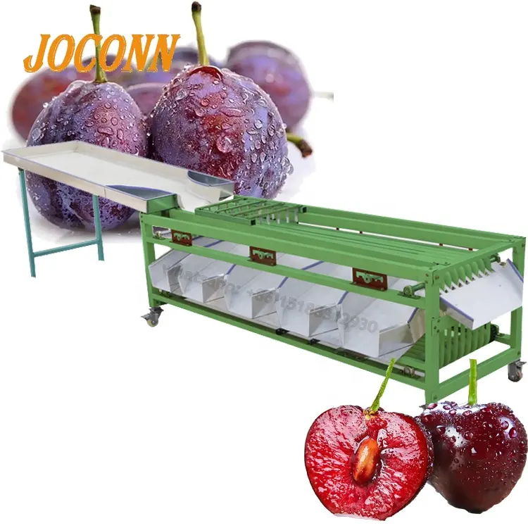 Industrial 3 grade bayberry blueberry sorting grading machine/High capacity cherry apricot grading machine automatic
