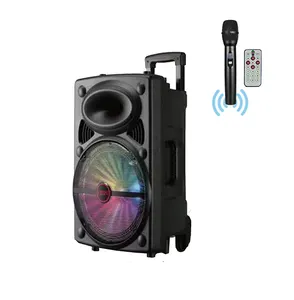 Migliore qualità 12 pollici 20w plastica con microfono Wireless Karaoke esterno Dj Sound Bass System altoparlante portatile Wireless per carrello