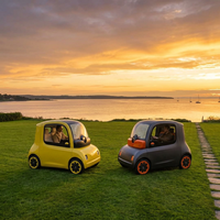 Le Quadricycle Électrique Léger EEC-L7e Conforme aux Normes de l'UE est Équipé d'un Système de Climatisation Chauffant et Refroidissant, Écran Tactile de 7 Pouces