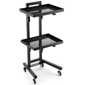 Modern Design Hair Salon Cart Worktop Salon <b>Trolley</b> with Rolling Beauty Salon <b>Trolley</b> Cart Beauty Salon Machine <b>Trolley</b> Cart - Product Image 2