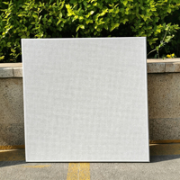Plaque de plafond métallique perforée 600x600mm, résistante à l'humidité, classe A, ignifuge, insonorisation 26 CAC, systèmes suspendus modernes pour bureaux