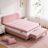 Sofá Cama Plegable Multifuncional Económico con Estructura de Hierro para Hotel y Apartamento, Colchón Plegable de Doble Uso, Directo de Fábrica
