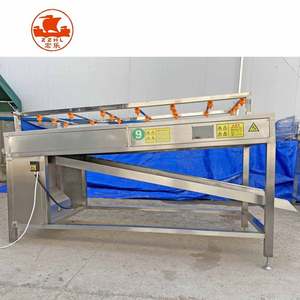 Machine à laver les légumes et les fruits, à éliminer les impuretés et à polir, avec moteur et composants en acier inoxydable - Product Image 6