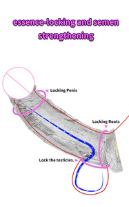 Condón transparente de cristal, juego de dientes de lobo, anillo de <span class=keywords><strong>esperma</strong></span> con bloqueo de pene para hombre - Product Image 5