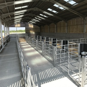 Hangar à vaches <span class=keywords><strong>de</strong></span> conception libre maison préfabriquée pour vaches laitières structures en acier <span class=keywords><strong>de</strong></span> ferme - Product Image 4