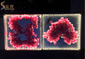 تركيب سريع Led اللاسلكية المغناطيسي حزب أرضية حلبة رقص لحفلات الزفاف - Product Image 3