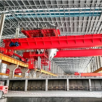 Grue de cuisson multifonctionnelle de haute qualité à commande PCL par conversion de fréquence, grue à double poutre pour blocs de carbone anodisé