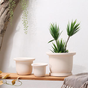 <span class=keywords><strong>Pot</strong></span> <span class=keywords><strong>en</strong></span> céramique plat rond droit uni poterie <span class=keywords><strong>en</strong></span> argile blanche peint respirant auto-absorbant <span class=keywords><strong>Iris</strong></span> orchidée <span class=keywords><strong>Pot</strong></span> succulent - Product Image 2