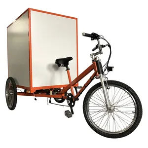 Functional and Economical Aluminum Fork 500watt Differential Motor Food Fruit Delivery Electric Cargo Tricycle