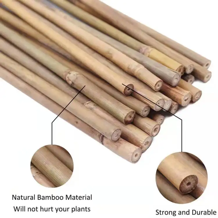 Factory Wholesale Price High Quality Natural Bamboo Stake for Sale