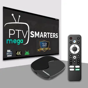Boîtier décodeur 4K Ultra HD Code IPTV Abonnement Revendeur Panneau TV Box Test gratuit IPTV m3u list Smarters Android TV box