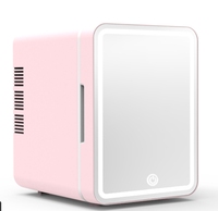 6L Double Usage Mini Voiture et Maison Smart Home Produit Cosmétiques Beauté Petit Réfrigérateur avec Miroir Réfrigérateur