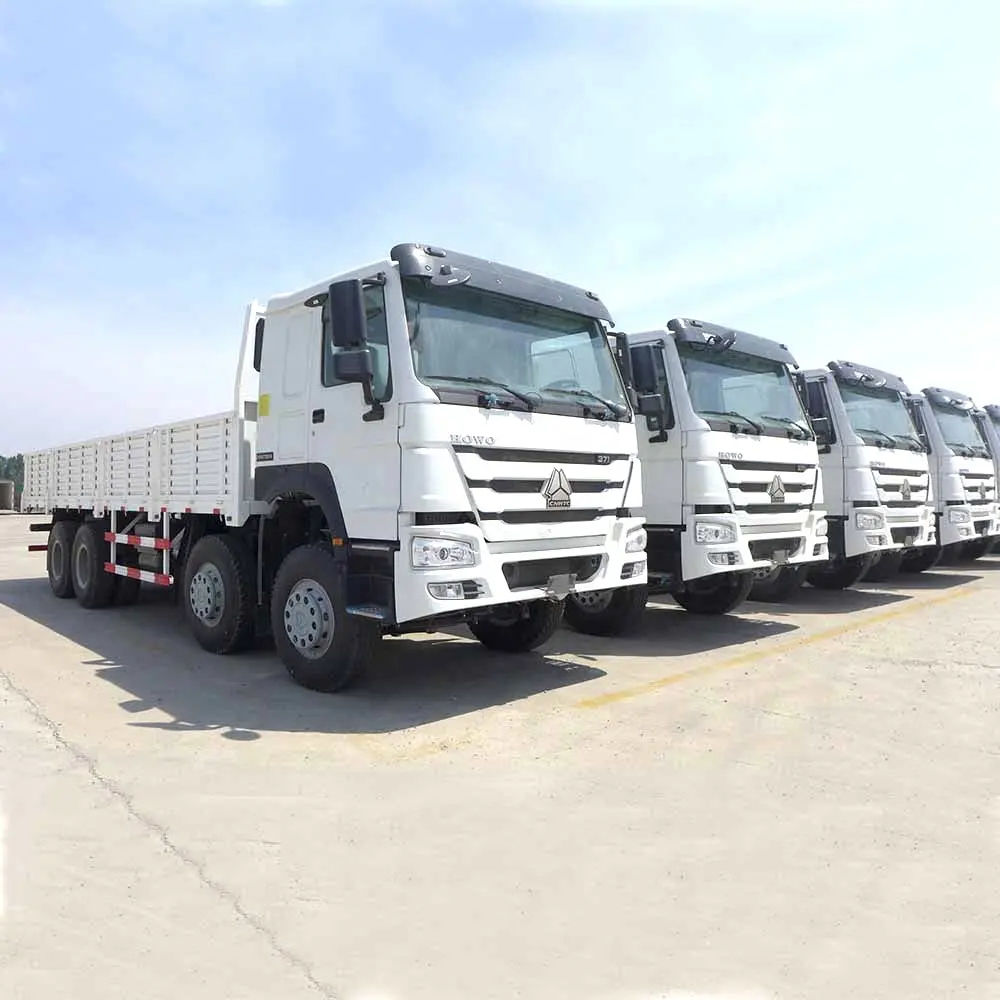 Sinotruk מפעל מכירה ישירה howo 8x4 12 גלגל מטען משאית מטען משאית 40 טון עם יותר עומס