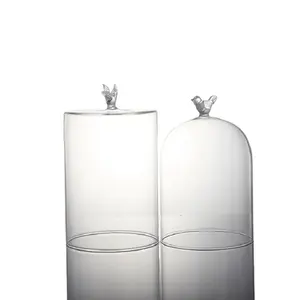 BO-GLASS Design Cubierta de vidrio decorativa que sostiene plantas Máquina Frasco cilíndrico de vidrio soplado
