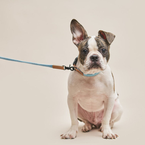 Collar para mascotas, Collar para perros, cuerda de tracción, Collar para cuello de perro, cubierta blanca para cuello de perro con flores pequeñas, se puede grabar con palabras - Product Image 5