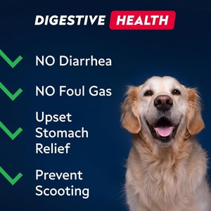 Masticables Probióticos para Perros a Precio de Mayoreo para el Cuidado de la Salud de las Mascotas, Previenen el Vómito con Extracto de <span class=keywords><strong>Aloe</strong></span> Vera, 170 Masticables para Todas las Razas - Product Image 2