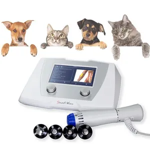 Veterinaire Chiropractie & Dier Shockwave Behandeling Eswt Acoustic Wave Massager Machine