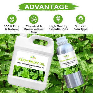 Aceite Esencial de Menta Piperita China al por Mayor, 100% Puro, en Galón, el Mejor Aceite Esencial a Granel para el Cuerpo, Antienvejecimiento - Product Image 2