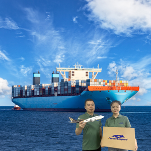 Tarifas de Transporte Marítimo Más Baratas y Rápidas DDP en Contenedores desde China Shenzhen a EE. UU., Canadá, Reino Unido y Australia - Product Image 6