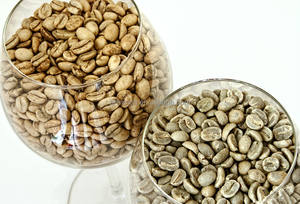 Machine de tri de grains de café par couleur, 5 canaux, 320 voies - Product Image 6