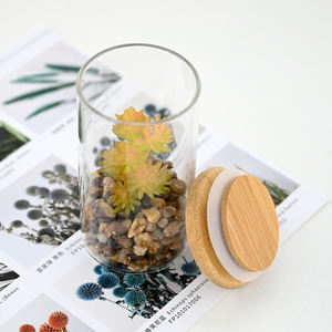 <span class=keywords><strong>Terrarium</strong></span> Vase en verre transparent miniature de 11cm avec fausses succulentes pour décor de table et faveurs de mariage en vrac - Product Image 1