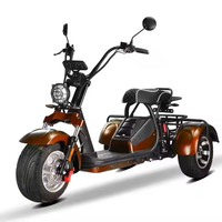 Tricycle Électrique Loyal à Trois Roues, Scooter Électrique, Vélo Électrique 4000W à Double Moteur