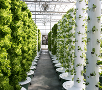 Serres agricoles, agriculture verticale, système d'aéroponie, tour de culture hydroponique, système hydroponique vertical