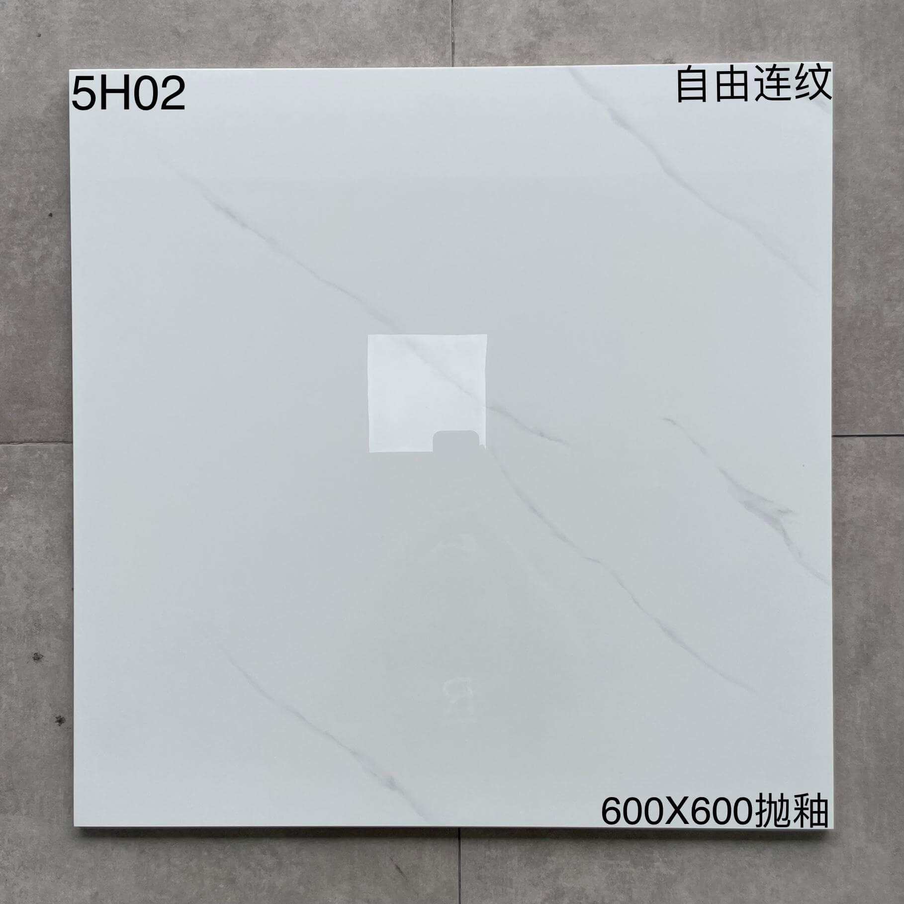5H02