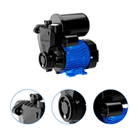 Pompe périphérique auto-amorçante DAYUAN 0,33 CV 0,25 kW 1 pouce, pompe électrique portable pour usage domestique