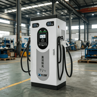 Stations de recharge rapide DC haute efficacité YG 40 kW avec CCS2 pour usage commercial, résidentiel et en zone publique (parking)