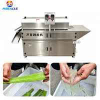Commerciële Aloë Vera Schilmachine Automatische Aloë Vera Schilapparatuur voor verse Aloë Vera bladeren