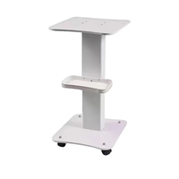 Chariot de beauté et spa multifonctionnel moderne, capacité de charge 120 kg, 4 roues, pour salons, hôpitaux, gymnases, hôtels, salons de séjour - Vente en gros