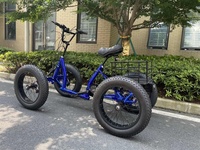 2025 Le Dernier Vélo Tout-Terrain Électrique, Quad Électrique, Vélo Électrique à Pneus Larges, Cycle à Quatre Roues