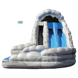 tobogán acuático inflable comercial tobogán rápidos salvajes - Product Image 1