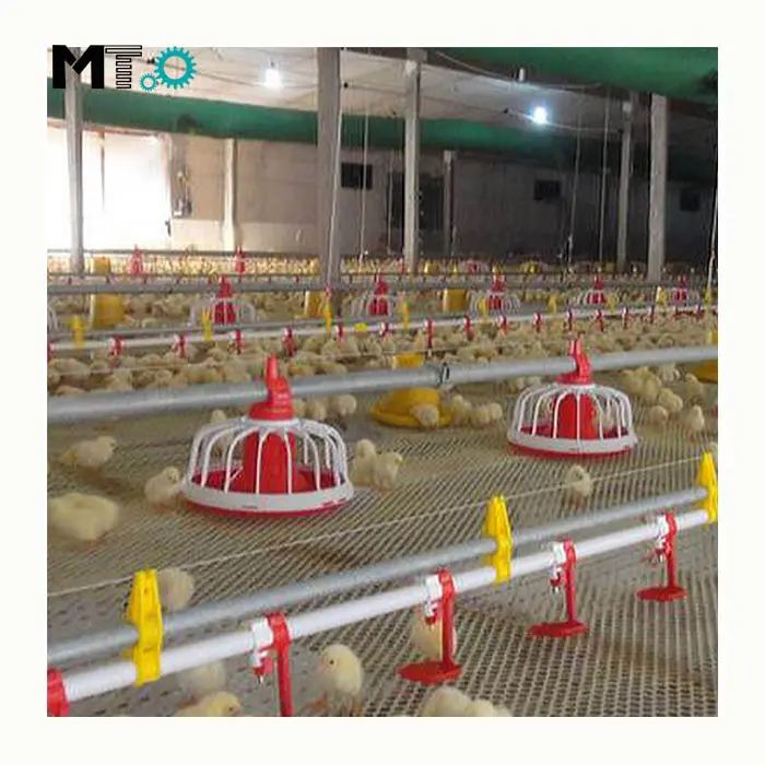 Piano di gestione pollame pan alimentatore per il pollo sistema automatico di alimentazione