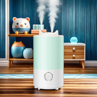 Vente directe usine Chine : Humidificateur ultrasonique portable de bureau 800 ml, diffuseur d'aromathérapie à brume froide avec bouton, pour usage domestique et hôtelier