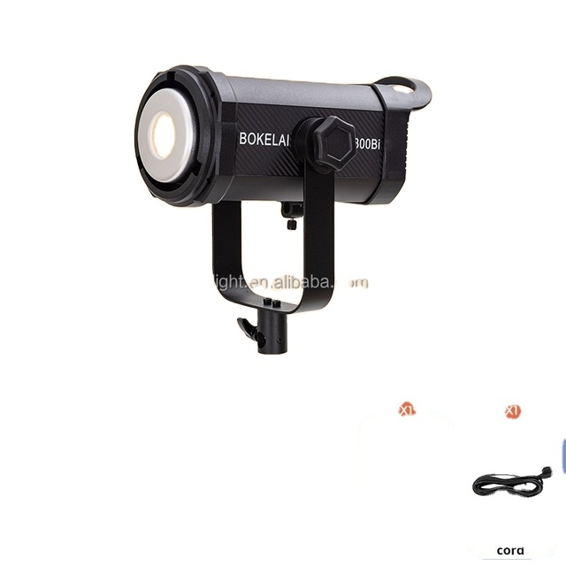 Professional 300W COB LED Photo Video Light for Studio & Live Stream