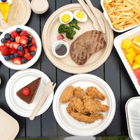 Fabricant de bagasse à tacos Boîte d'emballage alimentaire à 3 compartiments avec logo personnalisé en matériau naturel biodégradable