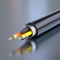 G652D Fibre optique à basse température FC/SC/LC/ST Câble arrière étanche pour l'extérieur