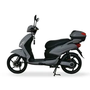 2024 new style Lithium Hot Sell Cheap Coc Eec Approval 750w Adult Electric Scooter With Best Services