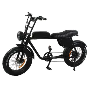 CE approved Vintage fat E bike beach cruiser 250W retro pedelec fat bicycle for Europe market