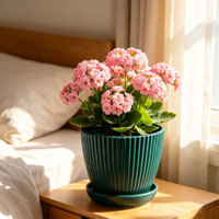 Pot de fleurs circulaire moderne en PP de haute qualité avec trous de drainage, durable, capacité de 0,93 L, pour jardinage, maison, bureau, sol, extérieur/intérieur