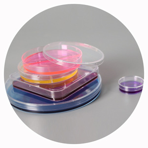 Placas de Petri Yongyue de 35 mm y 100 mm de Plástico para Cultivo Celular de Uso en Laboratorio - Product Image 5