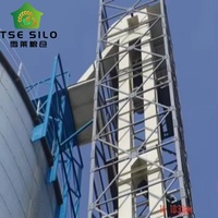 Sistema de Elevación por Cangilones Personalizado para el Manejo de Maíz, Trigo, Arroz y Soja