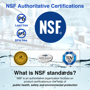 Cartucho de Filtro para Reducción de Plomo |   Adsorción de Metales Pesados Certificada por NSF53 |   Carcasa de Acero Inoxidable para Agua Potable - Product Image 3