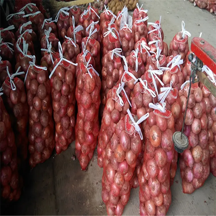 Sacs en filet tubulaire, sac en maille PE Leno pour légumes, monofilament