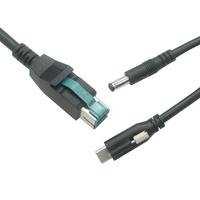 Câble séparateur USB vers USB C mâle avec vis et alimentation DC 5,5*2,5 mm, alimenté par 12V, pour terminal de point de vente