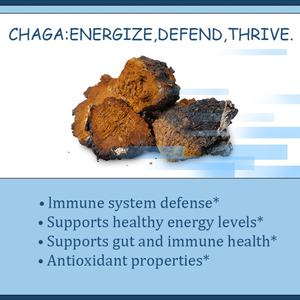 Cápsulas de Chaga de Marca Privada OEM - Antioxidante, Apoya la Salud Intestinal e Inmunológica, Apoya los Niveles de Energía, Suplemento para la Salud, Vegano - Product Image 3