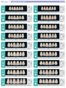 Résine plastique synthétique Lyaron, acrylique, dents artificielles manuelles, certifiées CE, classe II, consommables dentaires avec une durée de conservation de 3 ans - Product Image 5
