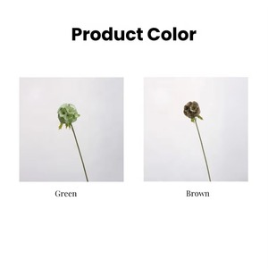 Flor Artificial de Seda Verde de Alta Calidad con Tallo Único y Vaina de Semillas de Scabiosa para Decoración del Hogar, Bodas y Arreglos Florales - Product Image 2